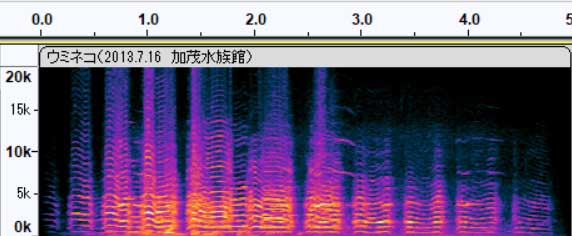 ウミネコ