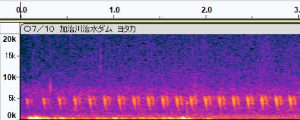 ヨタカ