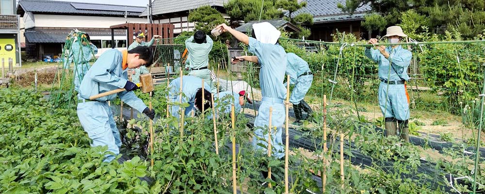 圃場