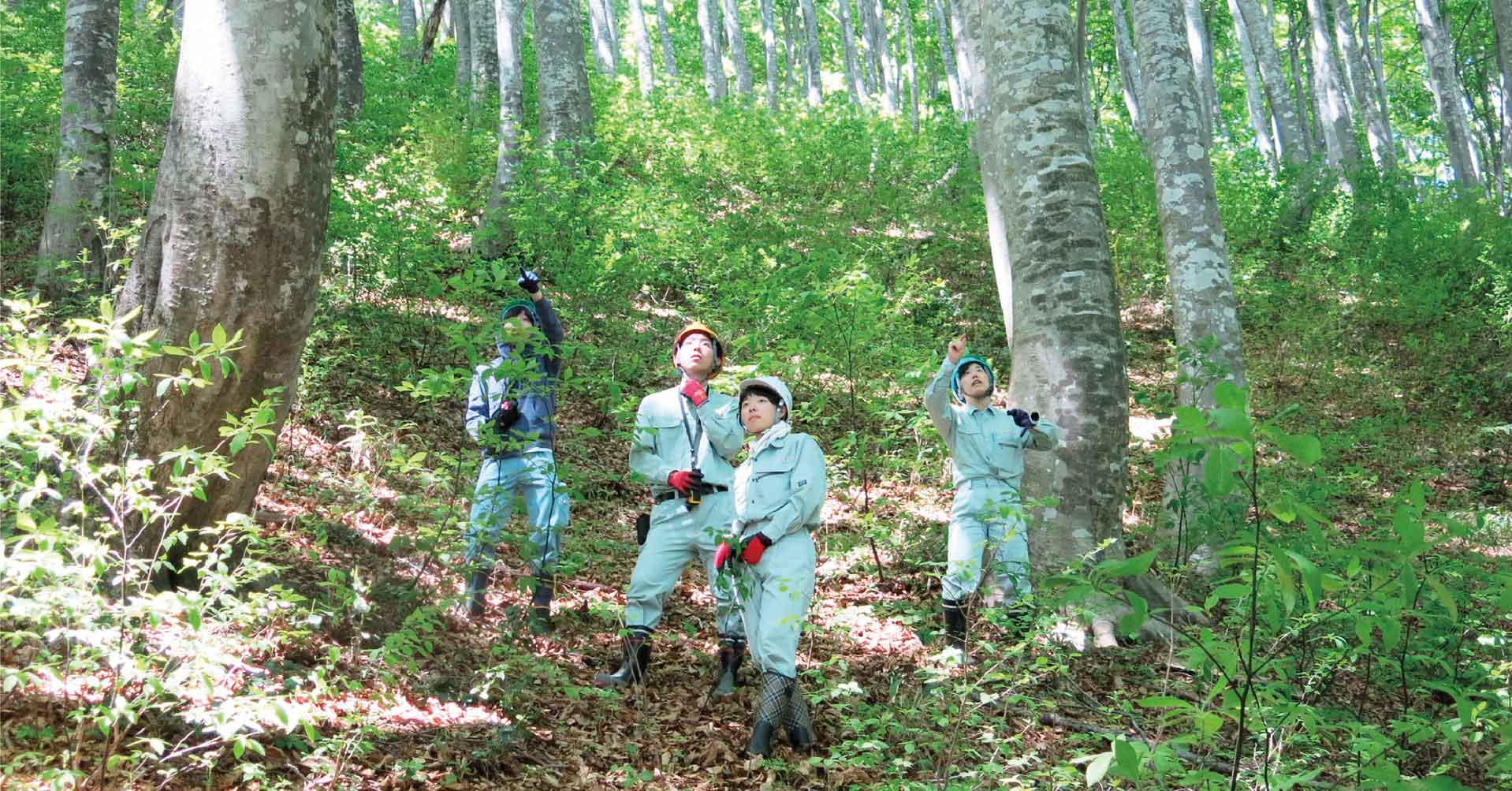 環境保全の技術を学ぶ 日本自然環境専門学校