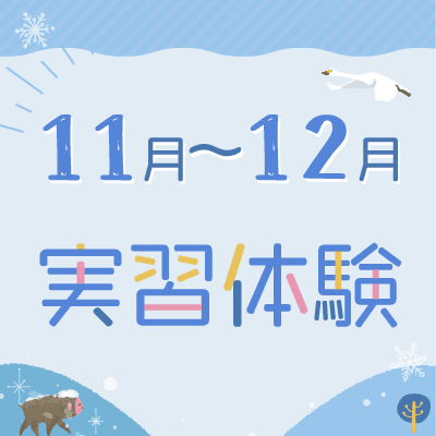 実習体験